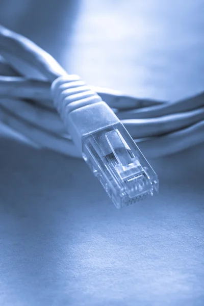 Ethernet-kabel för dator — Stockfoto