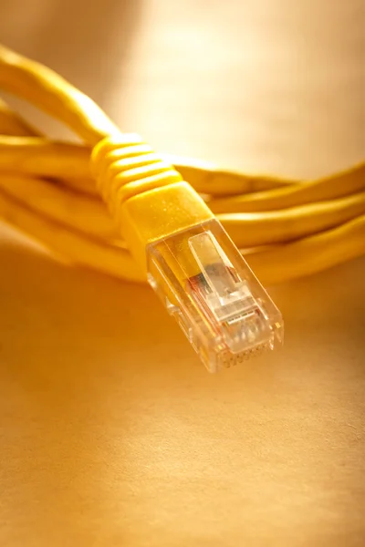 Cabo Ethernet para computador — Fotografia de Stock