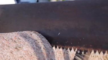 Bir el testeresiyle bir kütüğü kesme işlemi