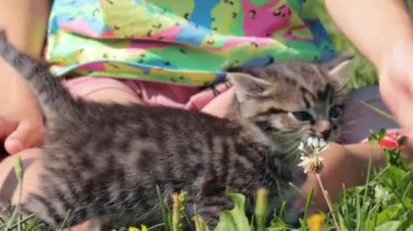 Çimenlerde kedi besleyen bir kız.