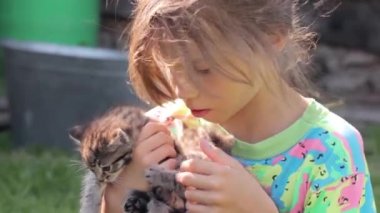 Ellerinde kedi yavruları olan küçük kız