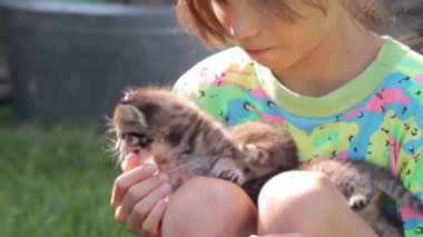 Ellerinde kedi yavruları olan küçük kız