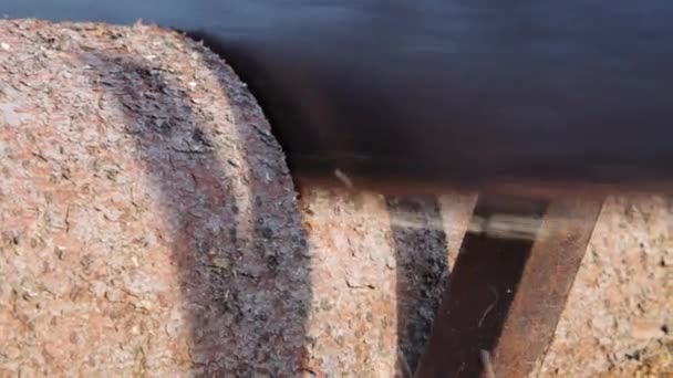 Processus de sciage d'une bûche avec une scie à main — Video