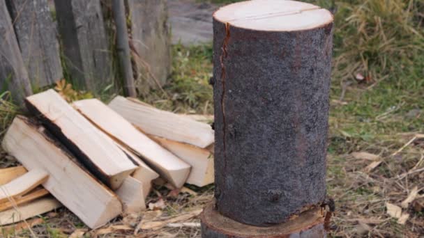 Wood splitting process in slow motion — Stockvideo