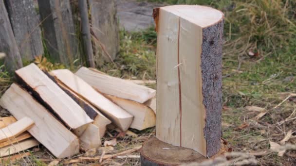 Proceso de división de madera en cámara lenta — Vídeos de Stock