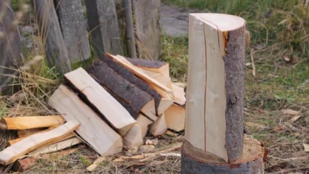 Wood splitting process in slow motion — Stock Video