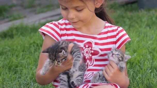 Маленькая девочка с котятами в руках — стоковое видео