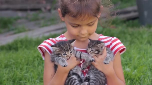 Ellerinde kedi yavruları olan küçük kız — Stok video