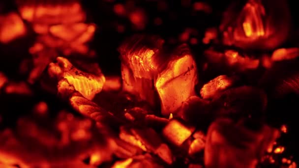 Steenkool in de oven — Stockvideo