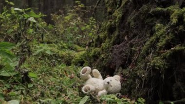 Ormandaki oyuncak ayı.