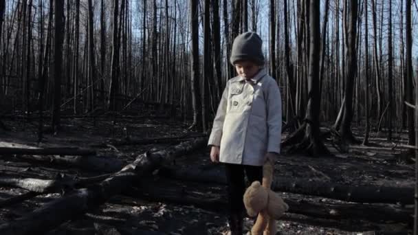 Gadis kecil dengan boneka beruang di hutan yang terbakar — Stok Video