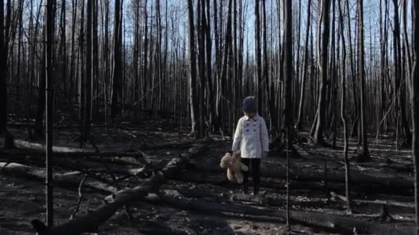 Niña con osito de peluche en bosque quemado — Vídeo de stock