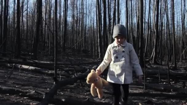 Little girl with teddy bear in burnt forest — Stockvideo