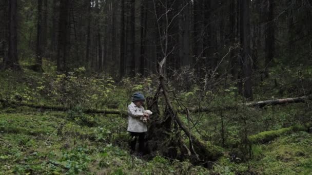 Petite fille avec ours en peluche seule dans une forêt — Video