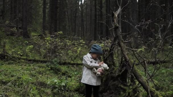 Little girl with teddy bear alone in a forest — Vídeo de Stock