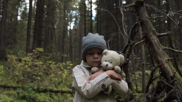 Pieni tyttö nallekarhun kanssa yksin metsässä — kuvapankkivideo