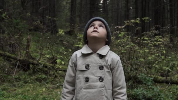 Een klein meisje alleen in een bos — Stockvideo