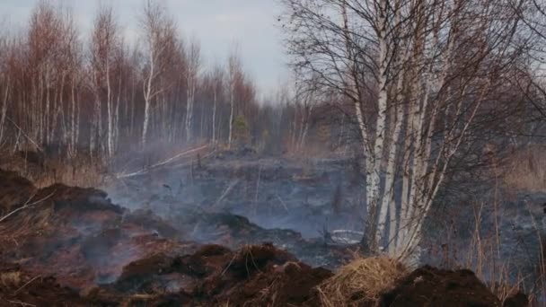 A shot of peat bog fire — 图库视频影像