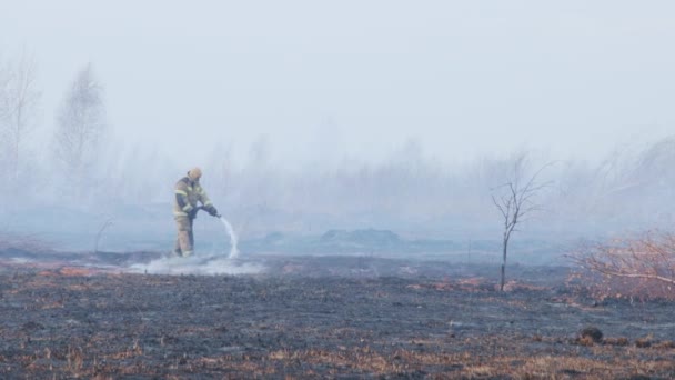 A shot of peat bog fire — Stock Video