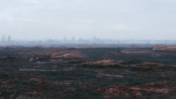 A shot of peat bog fire — стоковое видео