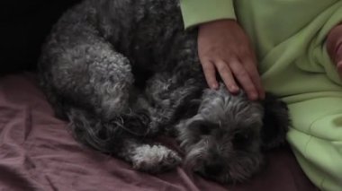 Köpeğiyle birlikte bir kadın.