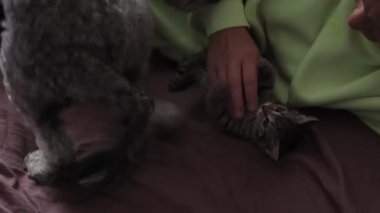 Hayvanlarıyla birlikte bir kadın.