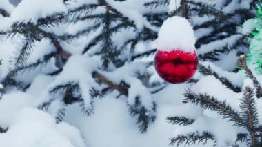Noel ağacının açık havada çekilmiş bir fotoğrafı.