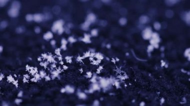 Düşen kar tanelerinin yakın çekimi