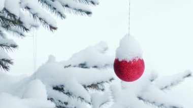 Noel ağacının açık havada çekilmiş bir fotoğrafı.