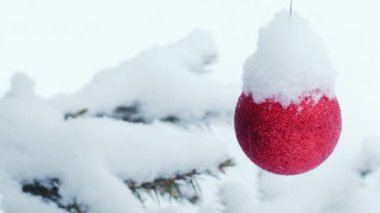 Noel ağacının açık havada çekilmiş bir fotoğrafı.