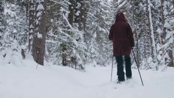 Una mujer caminando por la nieve profunda en el bosque — Vídeos de Stock
