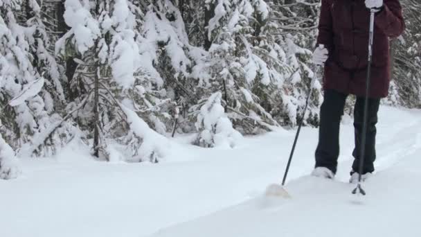 Una mujer caminando por la nieve profunda en el bosque — Vídeo de stock
