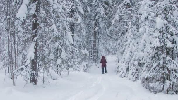 Uma mulher caminhando através de neve profunda na floresta — Vídeo de Stock