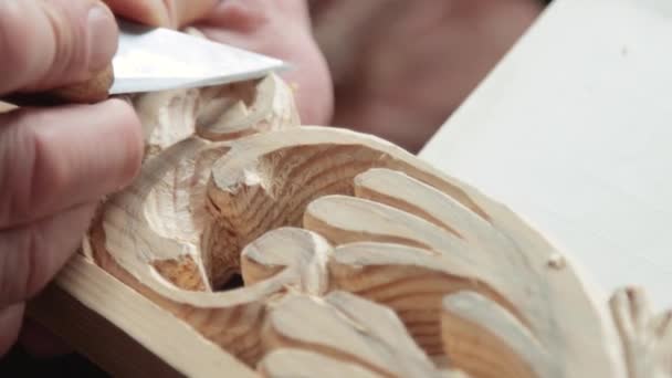 Gros plan de la pousse d'un sculpteur sur bois au travail — Video