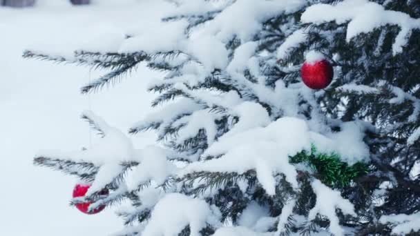Un colpo all'aperto di albero di Natale — Video Stock