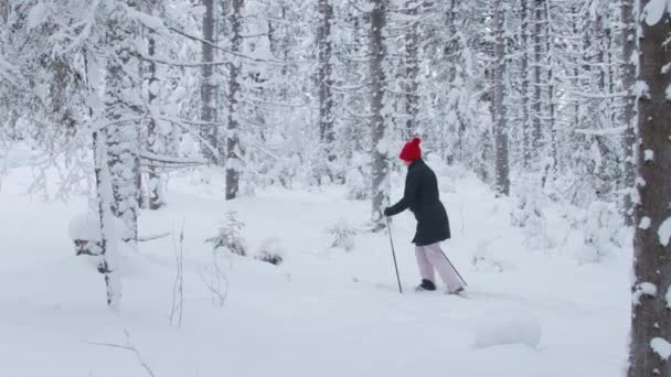 Una mujer caminando por la nieve profunda en el bosque — Vídeos de Stock