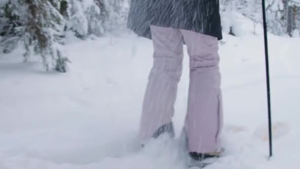 Egy nő sétál a mély hóban az erdőben. — Stock videók