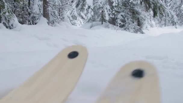 Caminando por la nieve profunda en el bosque — Vídeo de stock