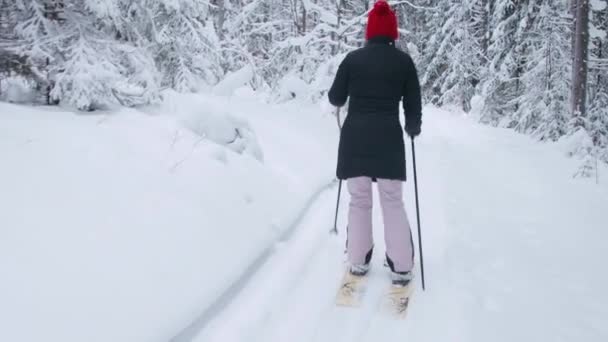 Een vrouw skiën in het bos — Stockvideo