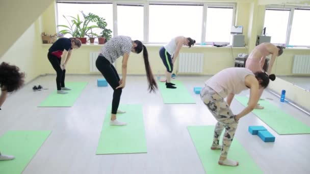 En grupp kvinnor som tränar i en hall — Stockvideo