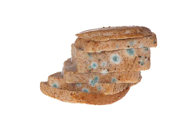 Beschimmeld brood. — Stockfoto