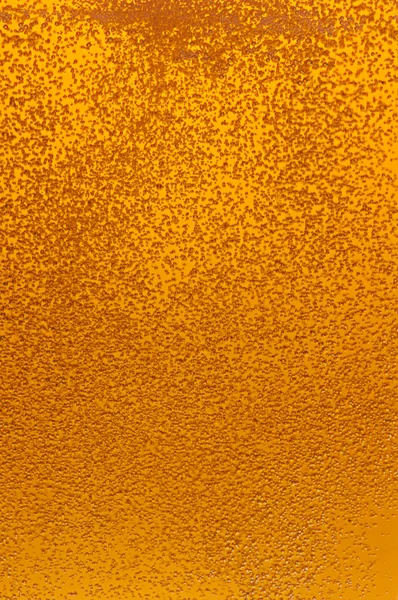 Bubbles of the beer. — Stock Photo, Image