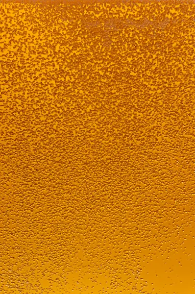 Пузыри пива . — стоковое фото