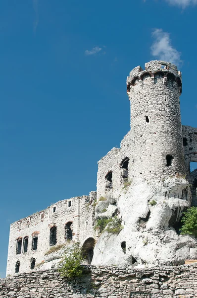 Les ruines du château. — Photo