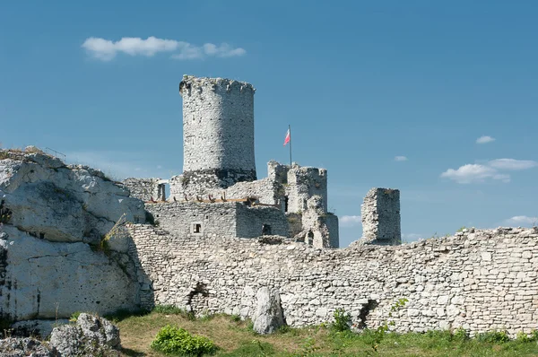 Die Ruinen der Burg. — Stockfoto