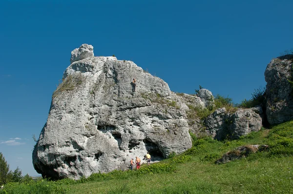 Hoge rotsen. — Stockfoto