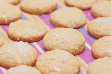 Hindistan cevizi çerezleri.