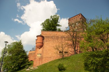 Krakow 'daki Wawel Kalesi.