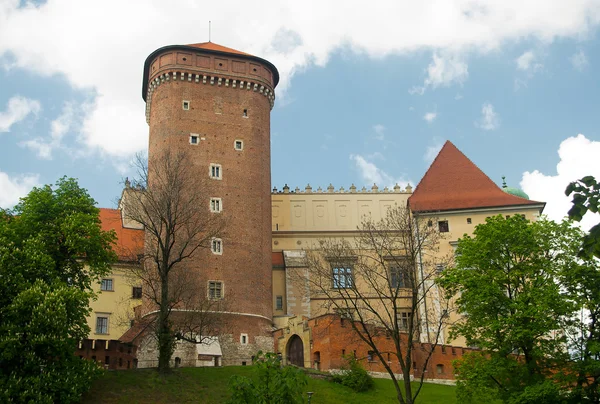 Krakow'da Wawel — Stok fotoğraf