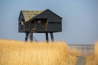 Hollanda 'nın kuzeyi ile Almanya arasında Wadden Denizi' ndeki Dolar Koyu 'nda kuş izleme evi.